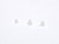 Canon Plugs (x10)